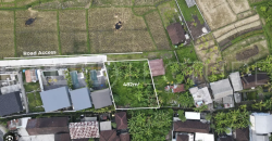 Spacious Plot Land for Lease with Project Available in Umalas