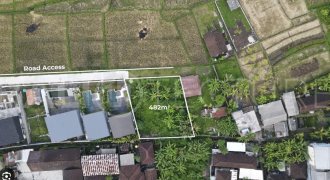 Spacious Plot Land for Lease with Project Available in Umalas